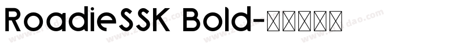 RoadieSSK Bold字体转换